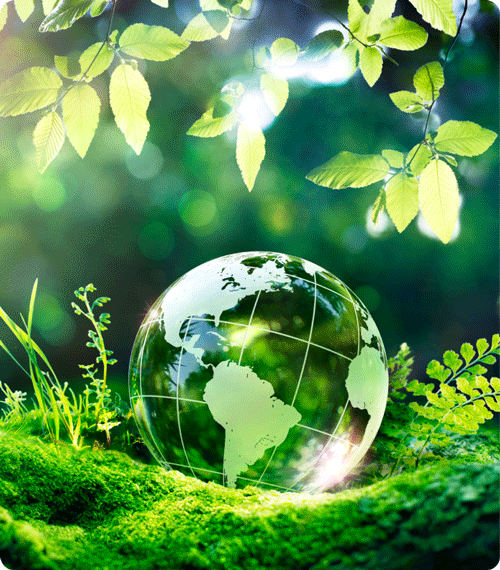 Koronea - ESG - Środowisko